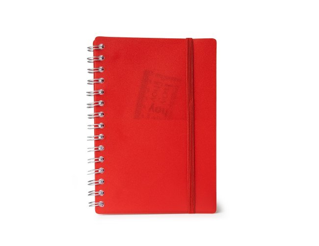 Agenda Diária 2025
