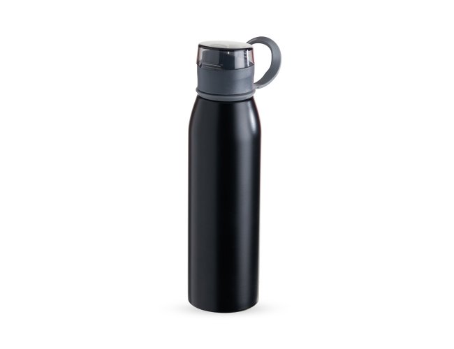 Garrafa Inox 650Ml
